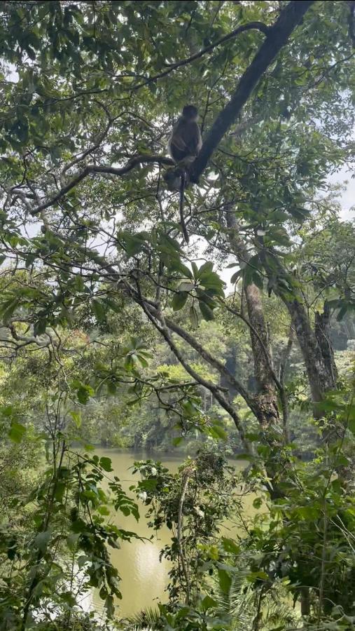Lake Nkuruba Nature Reserve Hotel Durama ภายนอก รูปภาพ