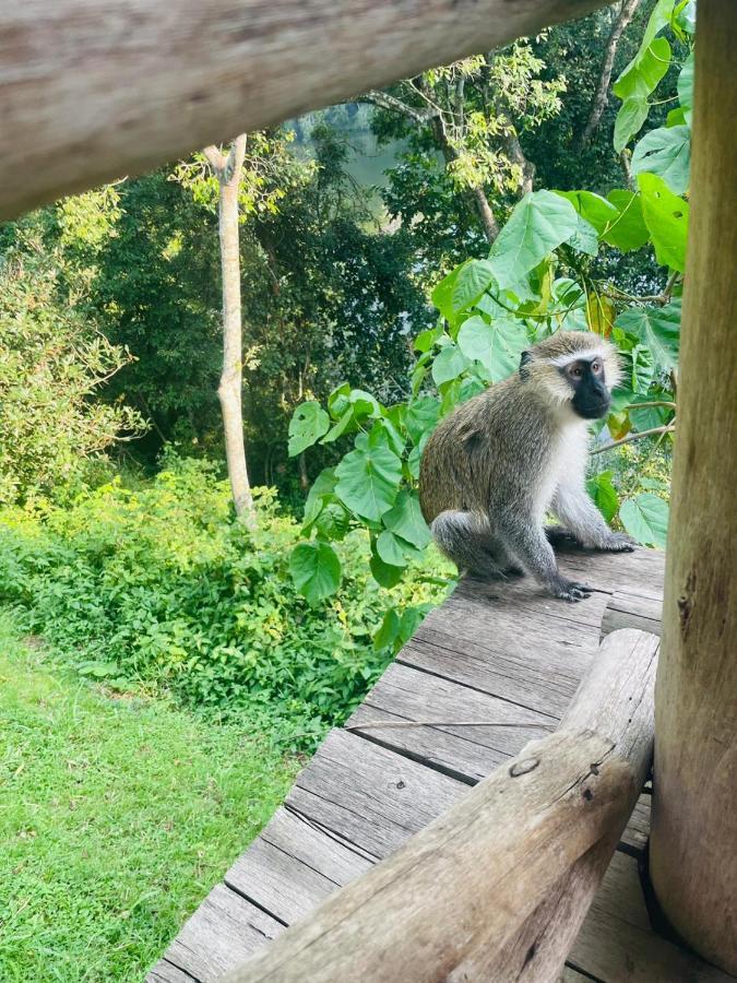 Lake Nkuruba Nature Reserve Hotel Durama ภายนอก รูปภาพ
