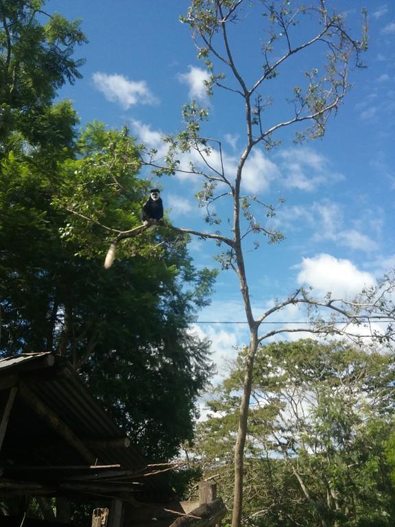 Lake Nkuruba Nature Reserve Hotel Durama ภายนอก รูปภาพ